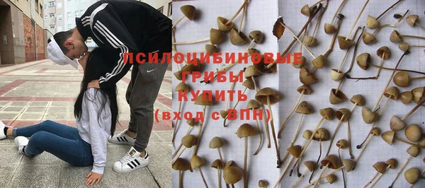 меф Богданович